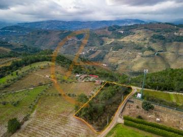 Vila Real Peso da Régua 5050 99507004