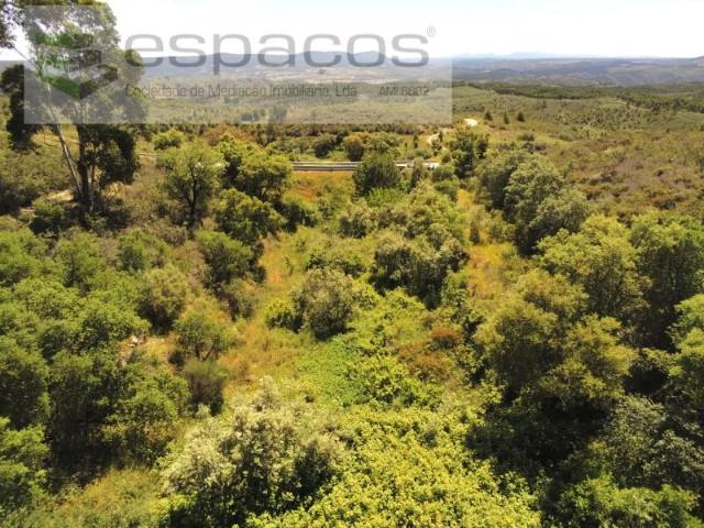 Vila Velha de Rodão Vila Velha de Rodão 105753883