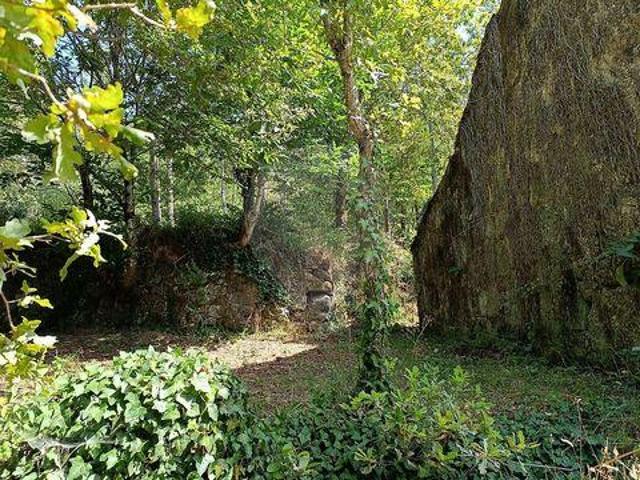 Vila Verde Braga 100020675