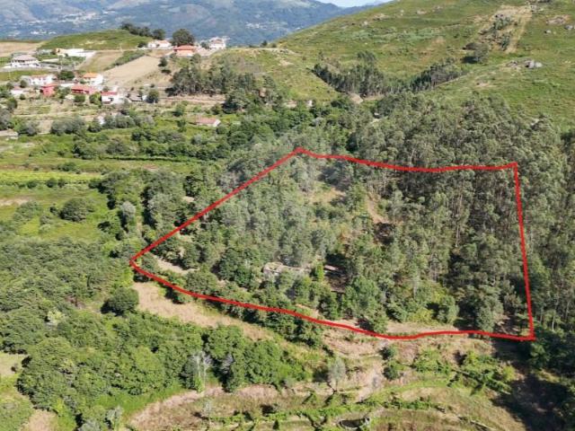 Vila Verde Vila Verde 103225476