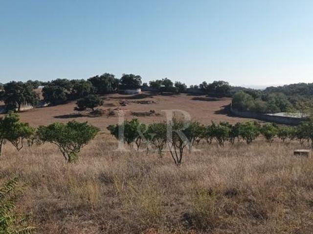 Vila Viçosa Évora 97100855