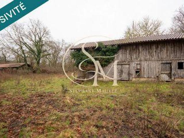 Villa 4 chambres, Labrit Aquitaine 40420 ELS99734327