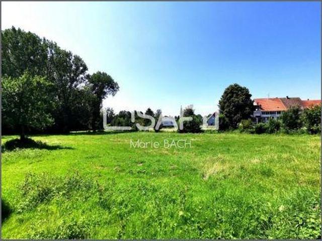 Villa 5 chambres, Ottwiller Alsace 67320 DS103617466