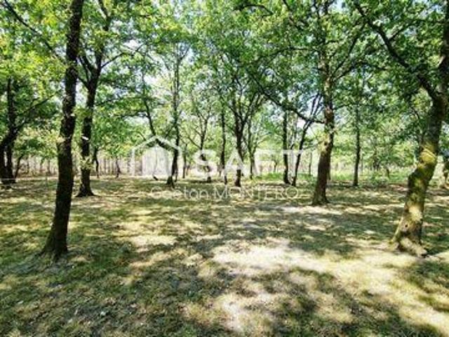 Villa 5 chambres, Onesse Aquitaine 40110 DS100735628