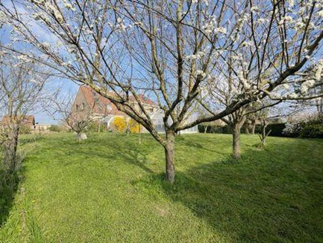 Villa 5 chambres, Busnes Nord 62350 DS103700227