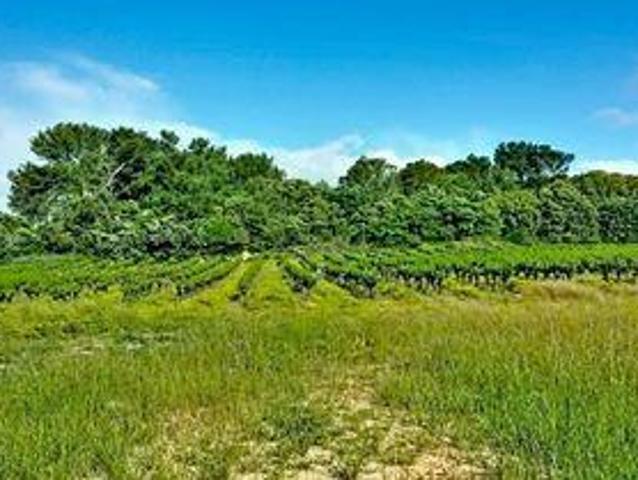 Villa 5 chambres, Saint Languedoc 30200 DS102919370
