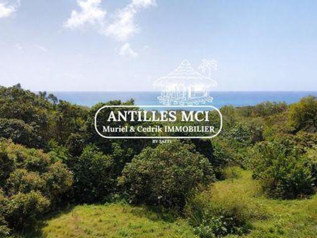 Villa 5 chambres, Sainte Rhône 97228 DS102919272