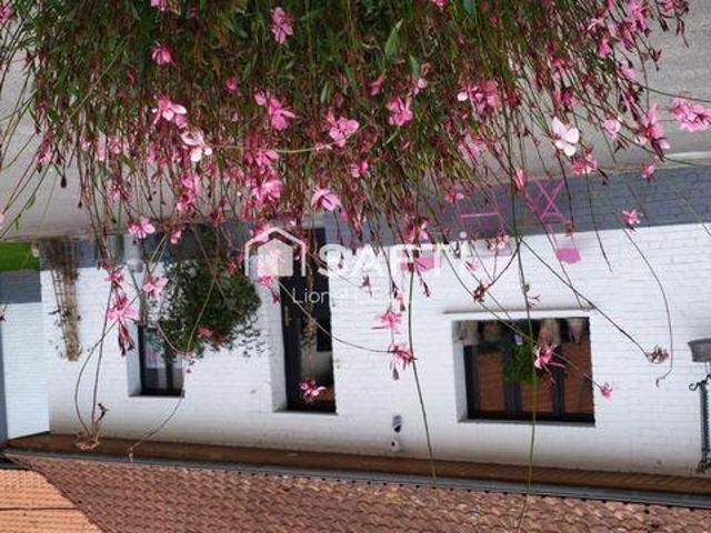 Villa 7 chambres, Hesdin Nord 62140 DS102581641