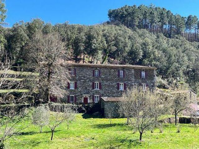 Villa 7 chambres, Saint Languedoc 30270 DS98115858
