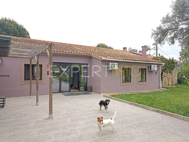villa 8 quarto, Belmonte Castelo Branco DS94991240