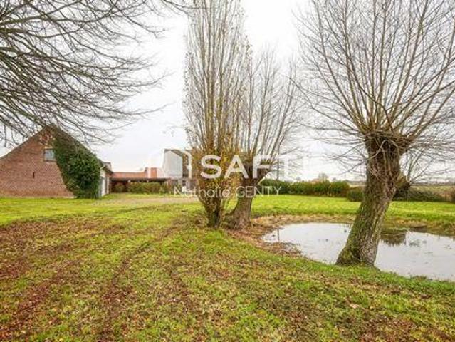 Villa 9 chambres, Steenvoorde Nord 59114 ELS102721059