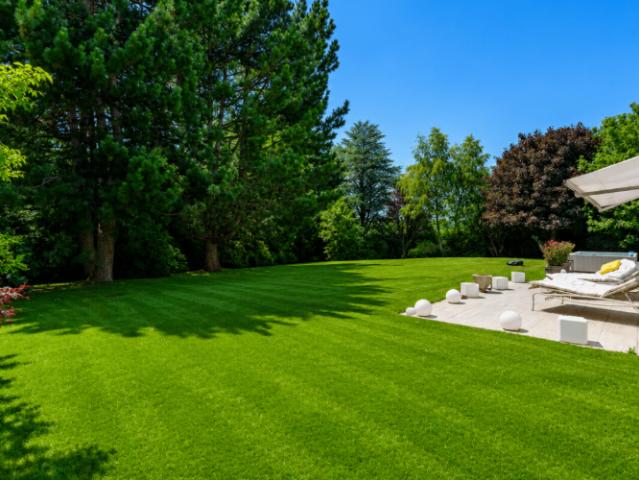 Villa 9 Zimmer