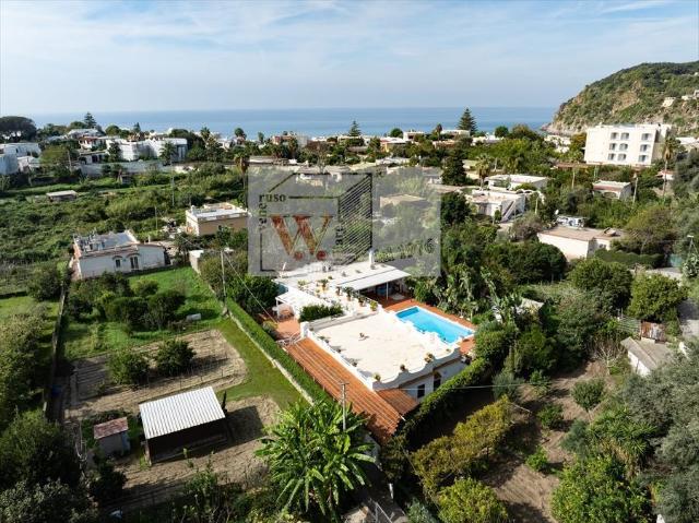 Villa 10 vani 260mq