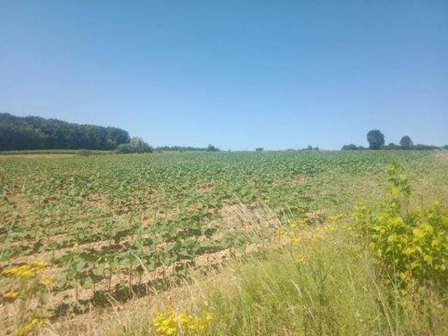 Villa 2 chambres, Saint Aquitaine 33580 ES103156604