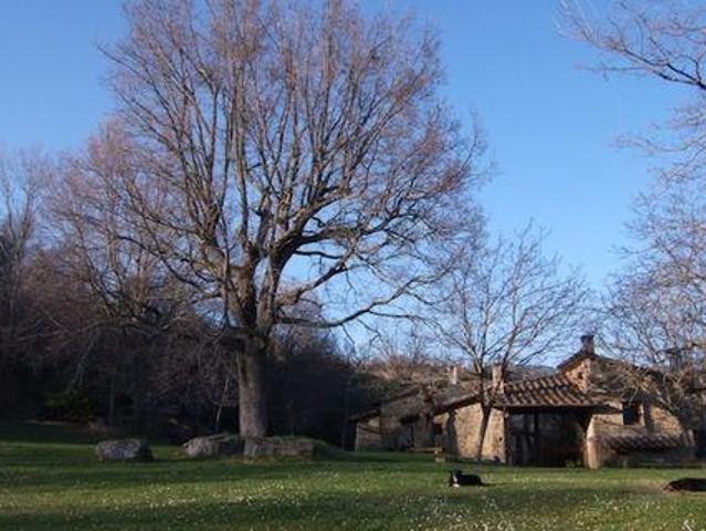 Villa 3 camere da letto, Florence ToscanaTuscany DS105509908