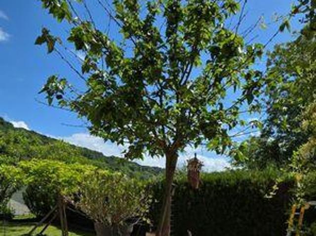 Villa 3 chambres, Avanne Franche 25720 DS102581948