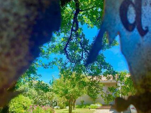 Villa 3 chambres, Labastide Midi 46090 DS103700237