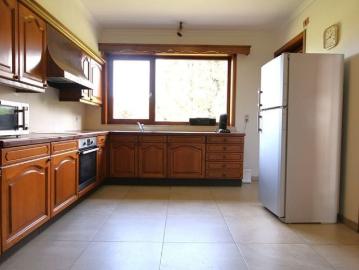 3800, Saint-Trond, Hasselt