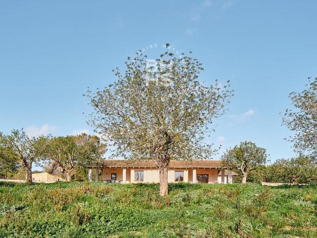 Villa to rent in Randa