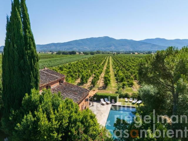Villa toscana in stile Leopoldina con giardino, piscina e an. 817m² Monte San Savino