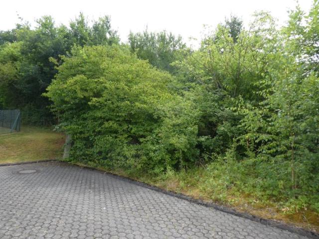Villa Trier Trier 106097420