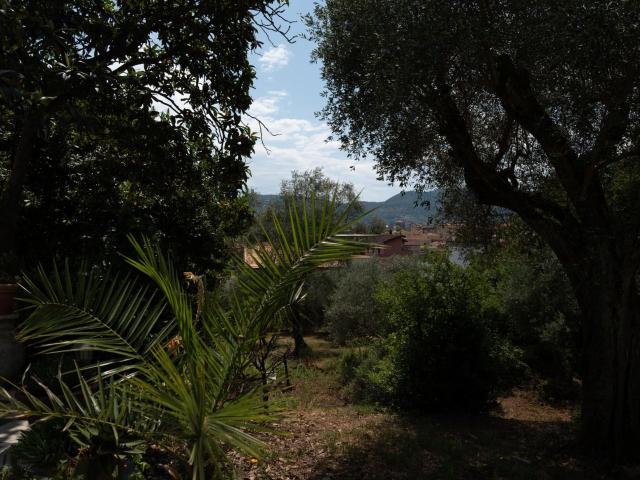 Villa Trifamiliari con giardino, La Spezia la pieve di san venerio