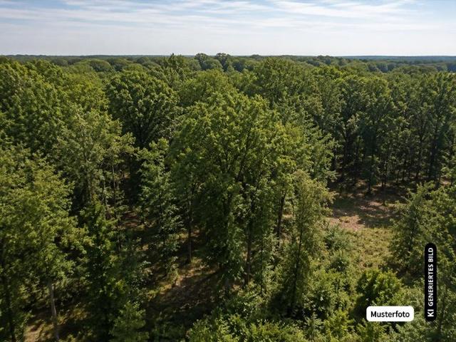 Villa Uckerland OT Trebenow Uckerland OT Trebenow 105742463