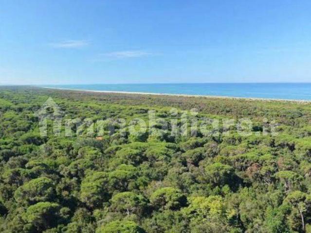 Villa unifamiliare, buono stato, 180 m², Darsena Ex Campo di Aviazione, Viareggio
