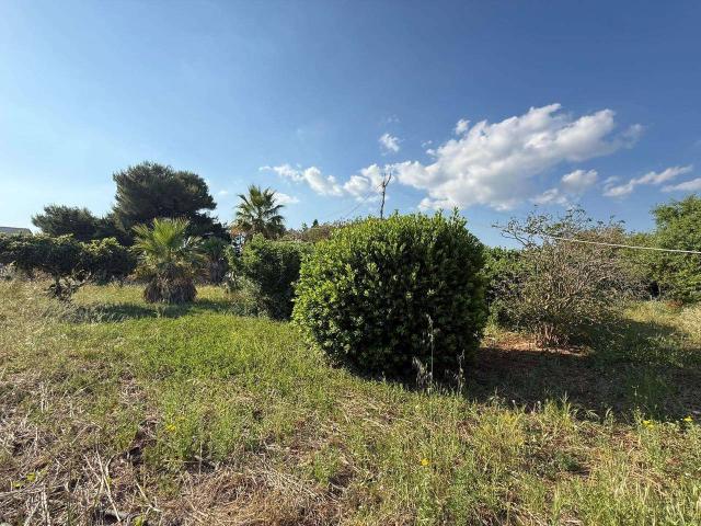 Villa unifamiliare in vendita a Marsala