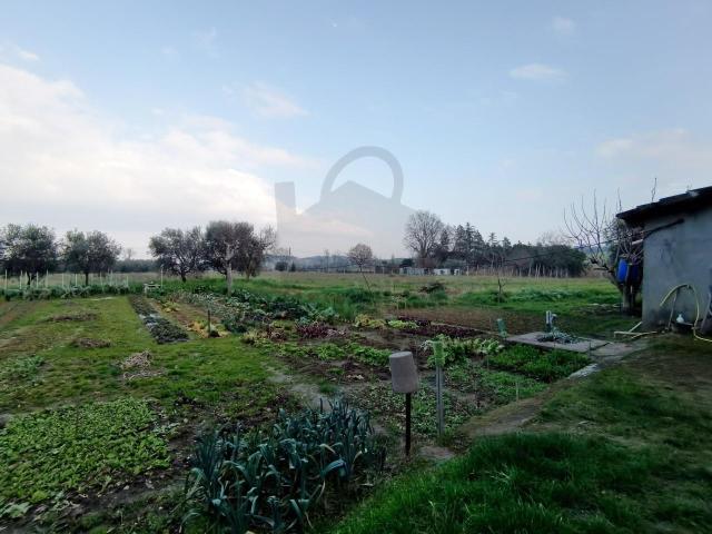 Villa unifamiliare in vendita a Rimini