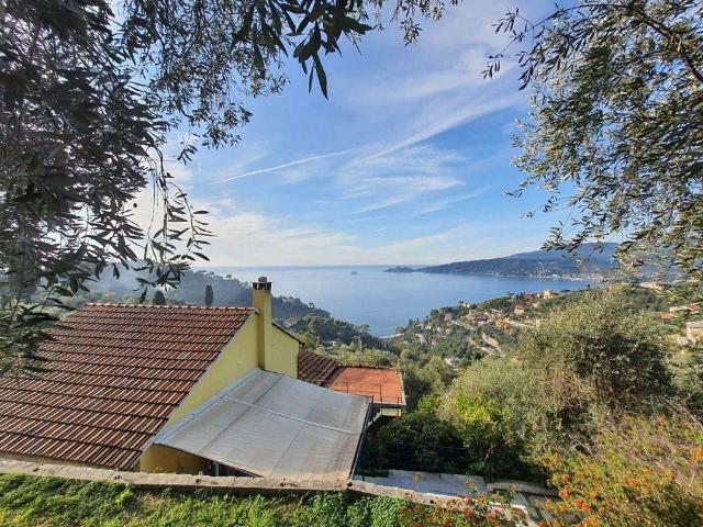 Villa unifamiliare in vendita a Zoagli
