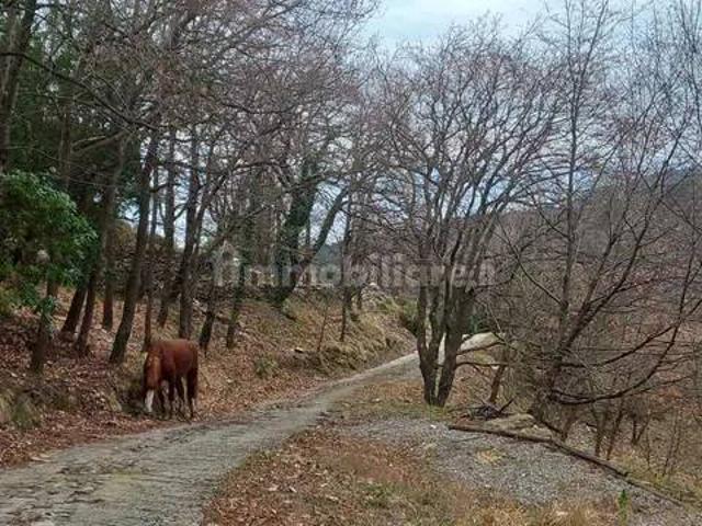 Villa unifamiliare via Levà Superiore, Sori