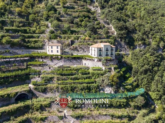Villa Vista Mare, Bed & Breakfast In Vendita In Costiera Ama. 650m² Maiori