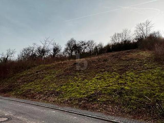 Villa Welschbillig Welschbillig 105446424