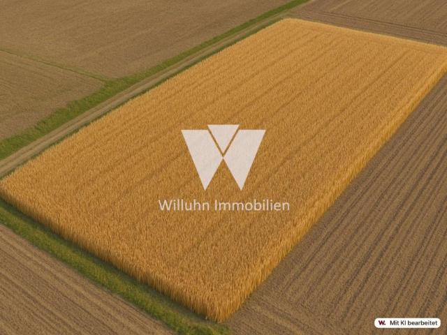 Villa Wiedemar Wiedemar 105924214