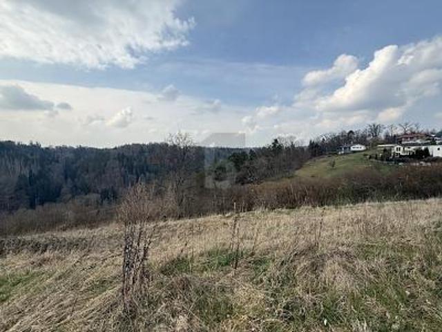 Villa Wildberg Wildberg 105447469