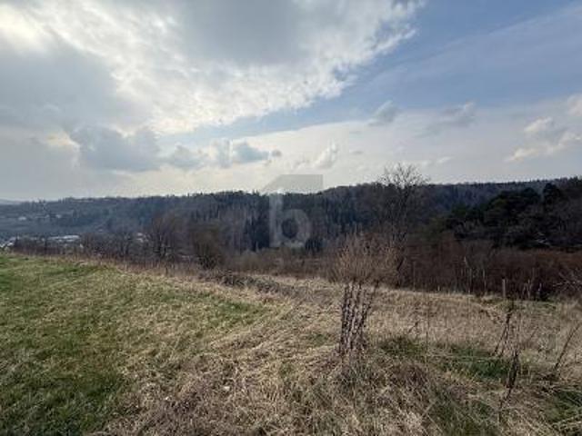 Villa Wildberg Wildberg 105879045