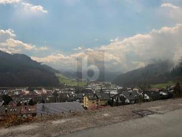 Villa Wolfach Wolfach 105974799