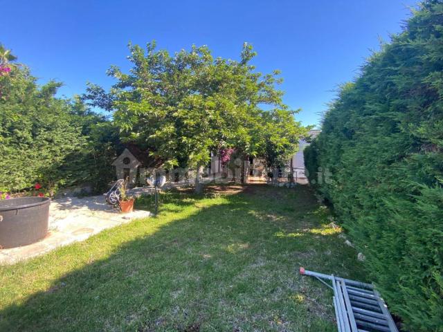 Villa a schiera 2 locali, buono stato, Specchiolla, Carovigno