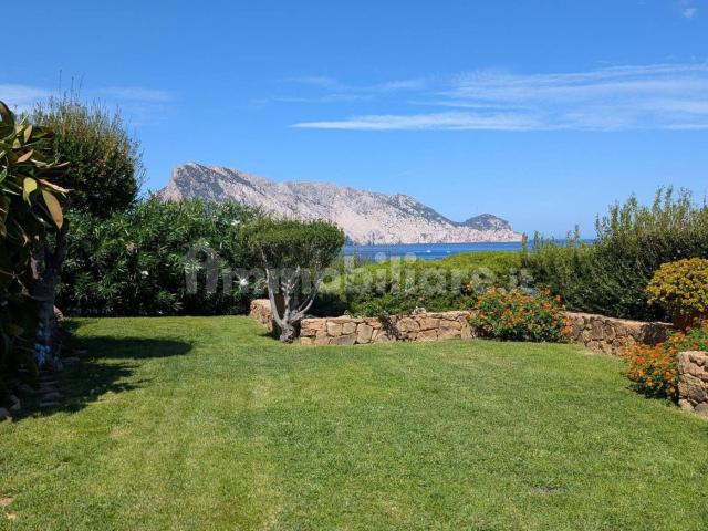 Villa a schiera 4 locali, buono stato, Punta Molara, San Teodoro
