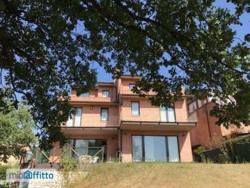 Villa Indipendente in affitto a Siena Toscana - Giardino