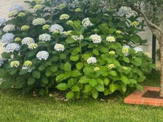 Villa a schiera arredata con terrazzo