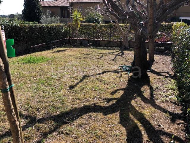 Villa a Schiera in affitto a Calci via Calcesana, giardino privato, terrazzo, parzialmente arredato TrovaCasa