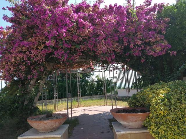 Villa a Schiera in Affitto a Giugliano in Campania