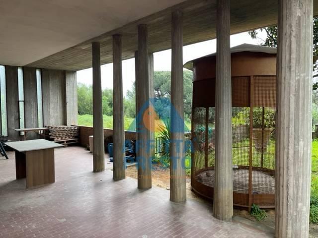 Villa a Schiera in affitto a Lamporecchio, giardino, riscaldamento autonomo, collinare TrovaCasa