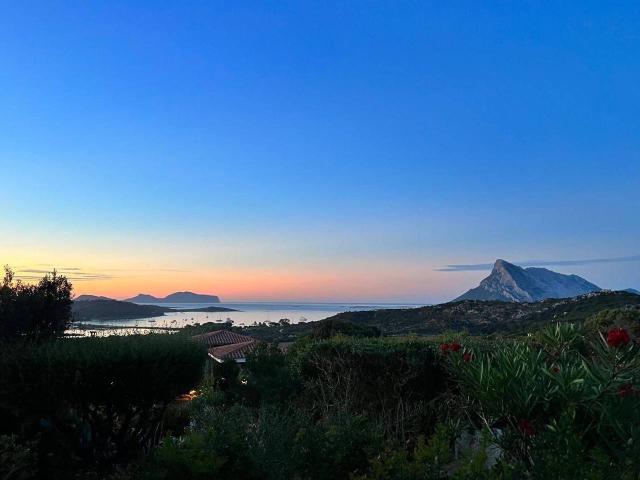 Villa a schiera in affitto a Loiri Porto San Paolo