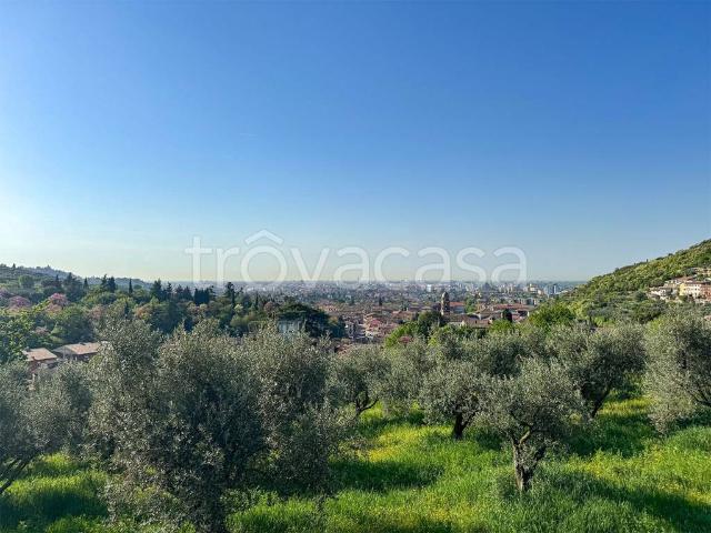 Villa a Schiera in affitto a Verona via Are Zovo, 11, giardino privato, terrazzo, nuova costruzione TrovaCasa