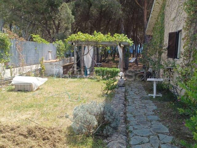Villa a Schiera in in affitto da privato a Borgia viale Cassiodoro, 10f, giardino, terrazzo, da privato TrovaCasa