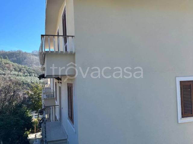 Villa a Schiera in in affitto da privato a Olevano Romano via Joseph Anton Koch, Snc, arredato, posto auto, da privato TrovaCasa