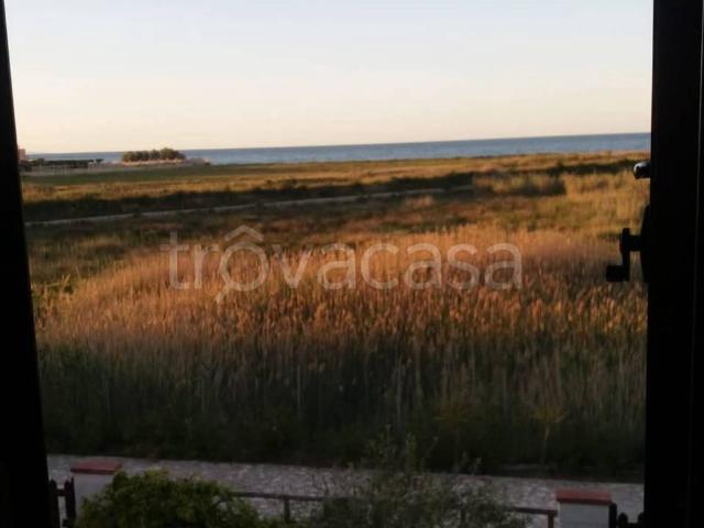Villa a Schiera in in affitto da privato a Margherita di Savoia strada Comunale Canna Fresca, 16, giardino, da privato, veranda TrovaCasa